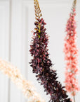 Kunstbloem Eremurus Steel Bordeaux | 109 cm - NU PUUR & GROEN