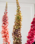 Kunstbloem Eremurus Steel Paars/Groen | 109 cm - NU PUUR & GROEN