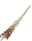Kunstbloem Eremurus Steel Paars/Groen | 149 cm - NU PUUR & GROEN