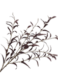 Kunstbloem Eucalyptus Tak Bordeaux | 123 cm - NU PUUR & GROEN