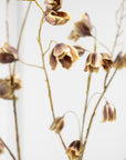 Kunstbloem Fritillaria Steel Bruin/Groen | 111 cm - NU PUUR & GROEN