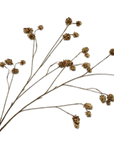 Kunstbloem Hop Tak Bruin/Groen | 109 cm - NU PUUR & GROEN