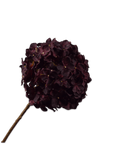 Kunstbloem Hortensia Steel Bordeaux | 70 cm - NU PUUR & GROEN
