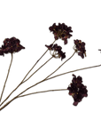 Kunstbloem Hortensia Tak Bordeaux | 119 cm - NU PUUR & GROEN