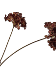 Kunstbloem Hortensia Tak Rood/Bruin | 85 cm - NU PUUR & GROEN