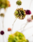 Kunstbloem Korenbloem Tak Bruin/Groen | 91 cm - NU PUUR & GROEN