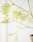 Kunstbloem Mimosa Tak Groen | 125 cm - NU PUUR & GROEN