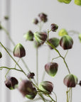 Kunstbloem Physalis Tak Bruin / Groen | 123 cm - NU PUUR & GROEN