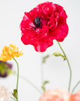 Kunstbloem Ranonkel Tak Beauty Real Touch | 63 cm - NU PUUR & GROEN