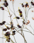 Kunstbloem Rozenbottel Tak Bordeaux/Paars | 126 cm - NU PUUR & GROEN