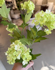 Kunstbloem Sneeuwbal Tak Groen | 85 cm - NU PUUR & GROEN