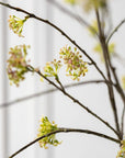 Kunstbloem Spirea Tak Groen | 160 cm - NU PUUR & GROEN