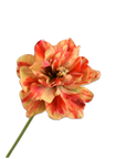 Kunstbloem Tulp Steel Rood/Geel | 69 cm - NU PUUR & GROEN