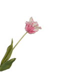 Kunstbloem Tulp Steel Roze/Wit RT | 71 cm - NU PUUR & GROEN