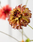 Kunstbloem Zinnia Tak Groen/Bordeaux REAL TOUCH | 62 cm - NU PUUR & GROEN