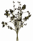 Kunstbloemen Boeket | Noir Berries - NU PUUR & GROEN