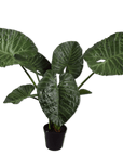 Kunstplant Alocasia Groen | 124 cm - NU PUUR & GROEN