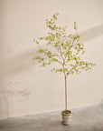 Kunstplant Bucida Groen | 220 cm - NU PUUR & GROEN