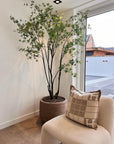 Kunstplant Bucida Groen | 244 cm - NU PUUR & GROEN