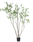Kunstplant Bucida Groen | 274 cm - NU PUUR & GROEN