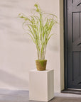Kunstplant Gras op Kluit met Mos | 150 cm - NU PUUR & GROEN