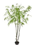 Kunstplant Groen | 280 cm - NU PUUR & GROEN