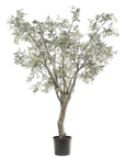Kunstplant Olijf Boom Groen | 244 cm - NU PUUR & GROEN