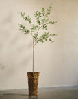 Kunstplant olijfboom groen | 234 cm - NU PUUR & GROEN