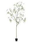 Kunstplant Schefflera Groen | 240 cm - NU PUUR & GROEN