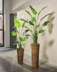 Kunstplant Strelitzia Groen | 183 cm - NU PUUR & GROEN