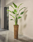 Kunstplant Strelitzia Groen | 183 cm - NU PUUR & GROEN
