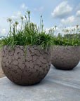 DOMANI Topf LAVA | Natural Brown