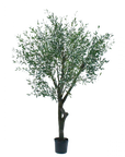 Kunstpflanze Olivenbaum Grün | 305 cm