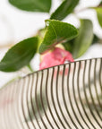 Schaal Maggia M | Smokegrey - NU PUUR & GROEN