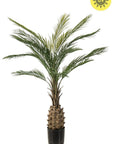 UV bestendige kunstplant voor buiten | Palm 150 cm - NU PUUR & GROEN