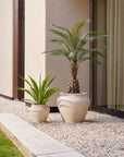 UV bestendige kunstplant voor buiten | Palm 150 cm - NU PUUR & GROEN