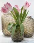 Vaas Bambola M | Clear/Smokegrey - NU PUUR & GROEN