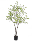 Kunstplant Bucida Groen | 218 cm