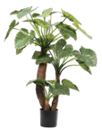 Kunstplant Alocasia Groen | 170 cm