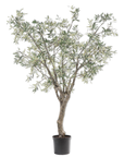 Kunstpflanze Olivenbaum Grün | 244 cm