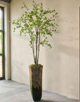 Kunstplant Bucida Groen | 244 cm