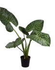 Kunstplant Alocasia Groen | 121 cm