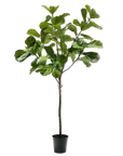 Kunstplant Ficus Groen | 254 cm