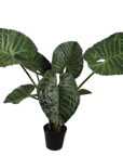 Kunstplant Alocasia Groen | 124 cm