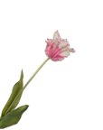 Kunstblume Tulpe Stiel Rosa/Weiß RT | 71 cm