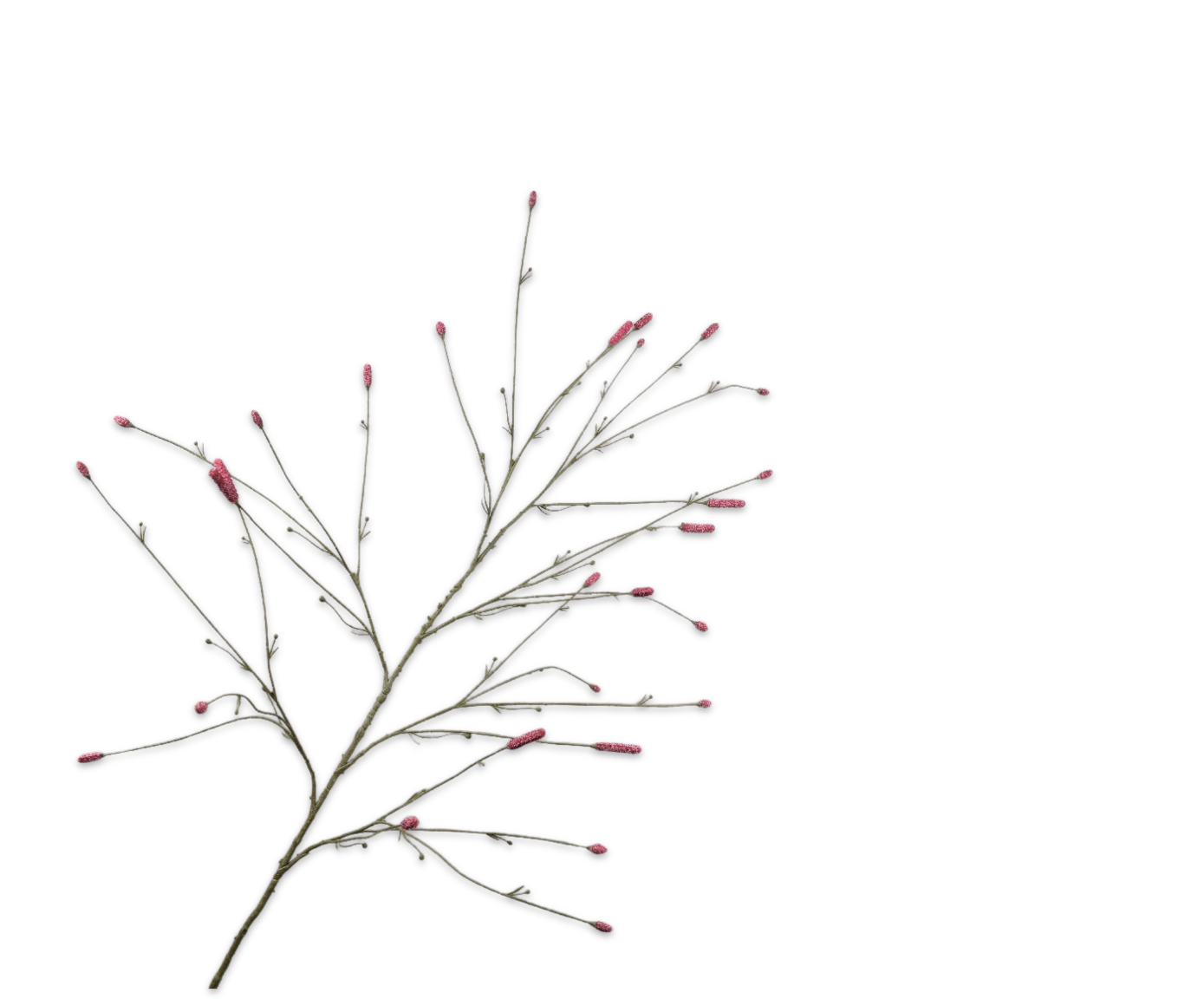 Artificial flower Pimpernel Branch Bordeaux | 146 cm