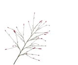 Artificial flower Pimpernel Branch Bordeaux | 146 cm