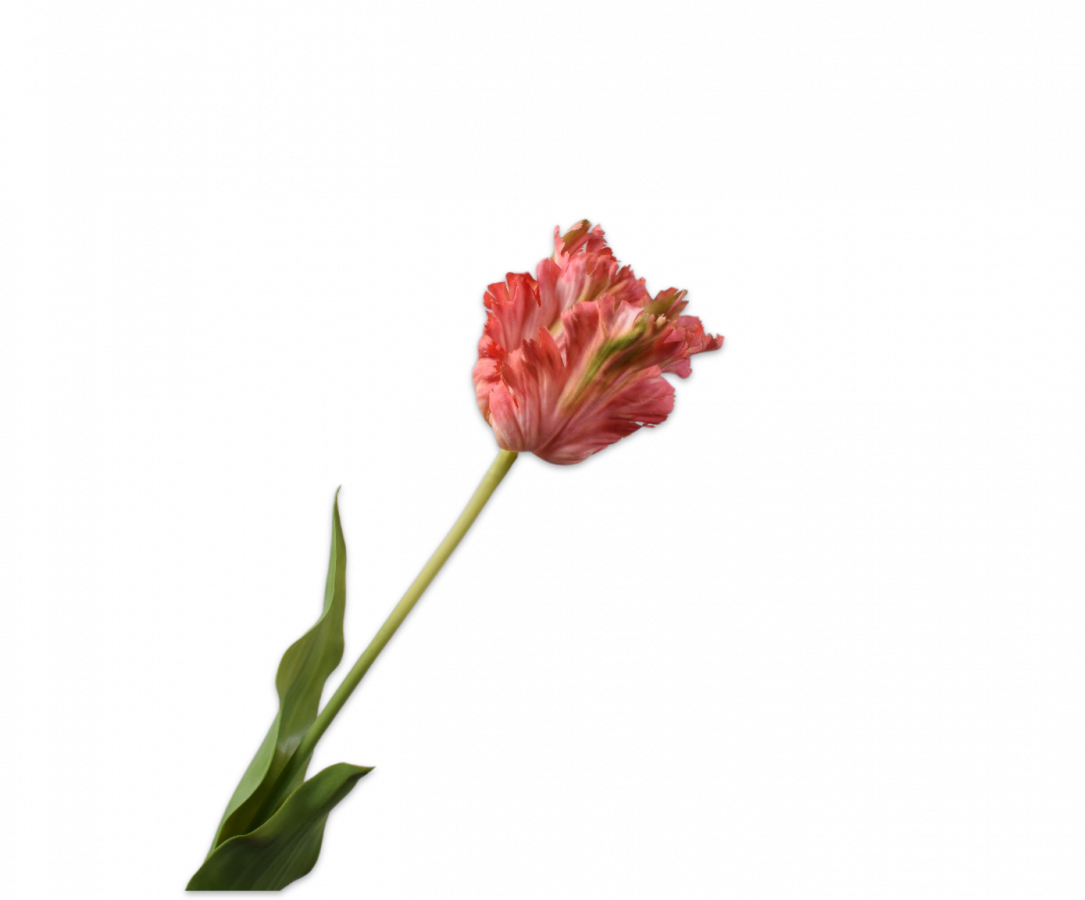 Fleur artificielle Tulipe Tige Orange | 71 cm
