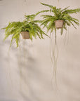 Plante suspendue artificielle fougère verte 76 cm