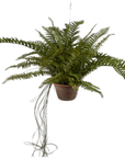 Plante suspendue artificielle fougère verte 76 cm